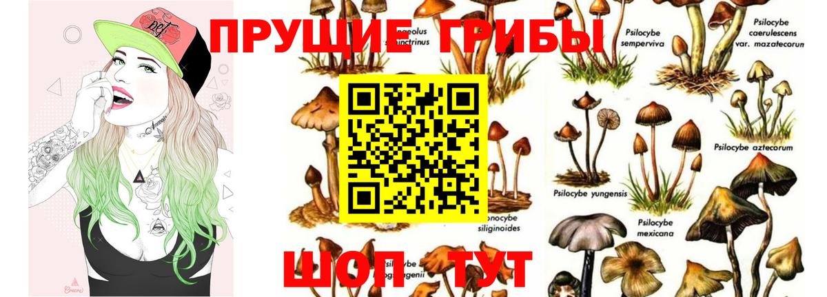 Галлюциногенные грибы мицелий  Вход с VPN  Псилоцибиновые грибы MAGIC MUSHROOMS  Буйнакск 